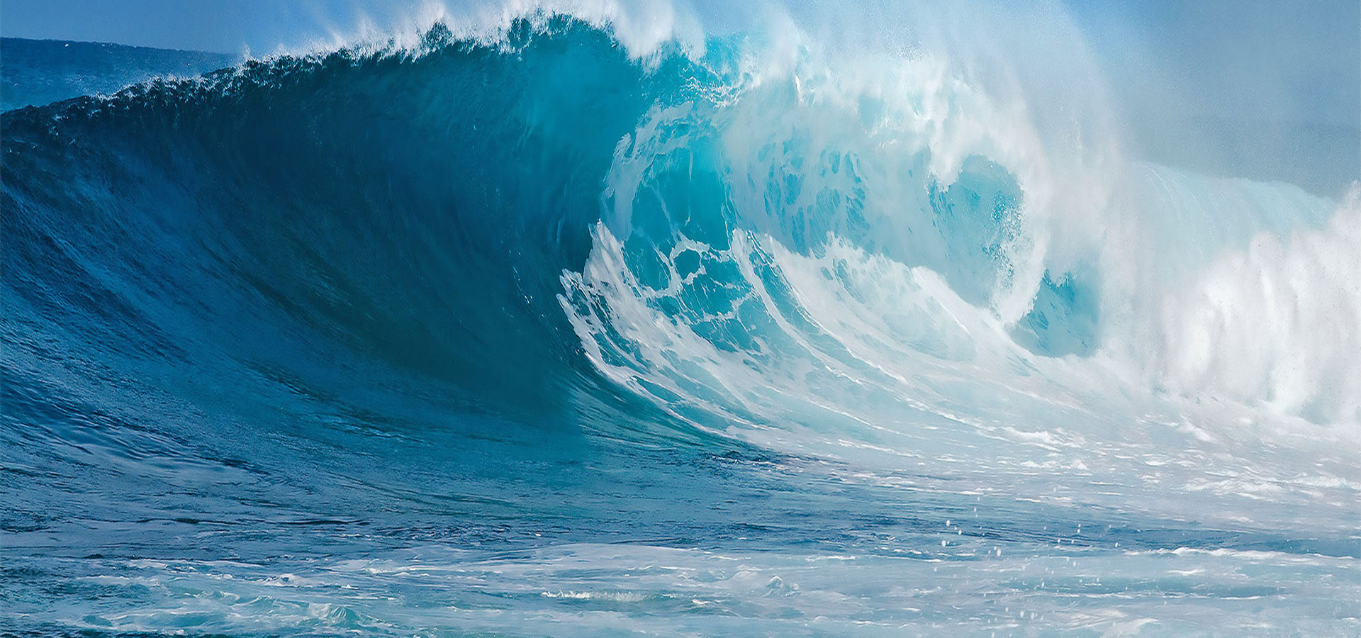 元含万象、万象J9.COM